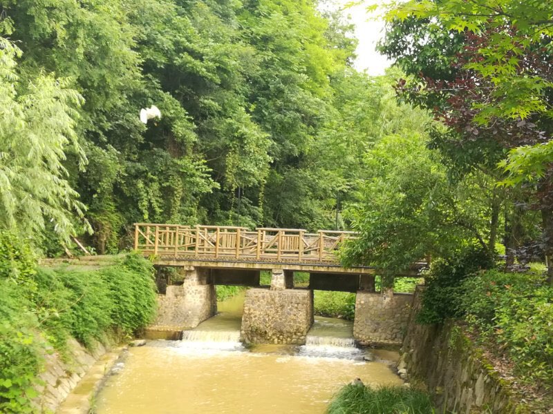 乡村印象---走进风景区赤岸.西海 - 民生民情 - 义乌